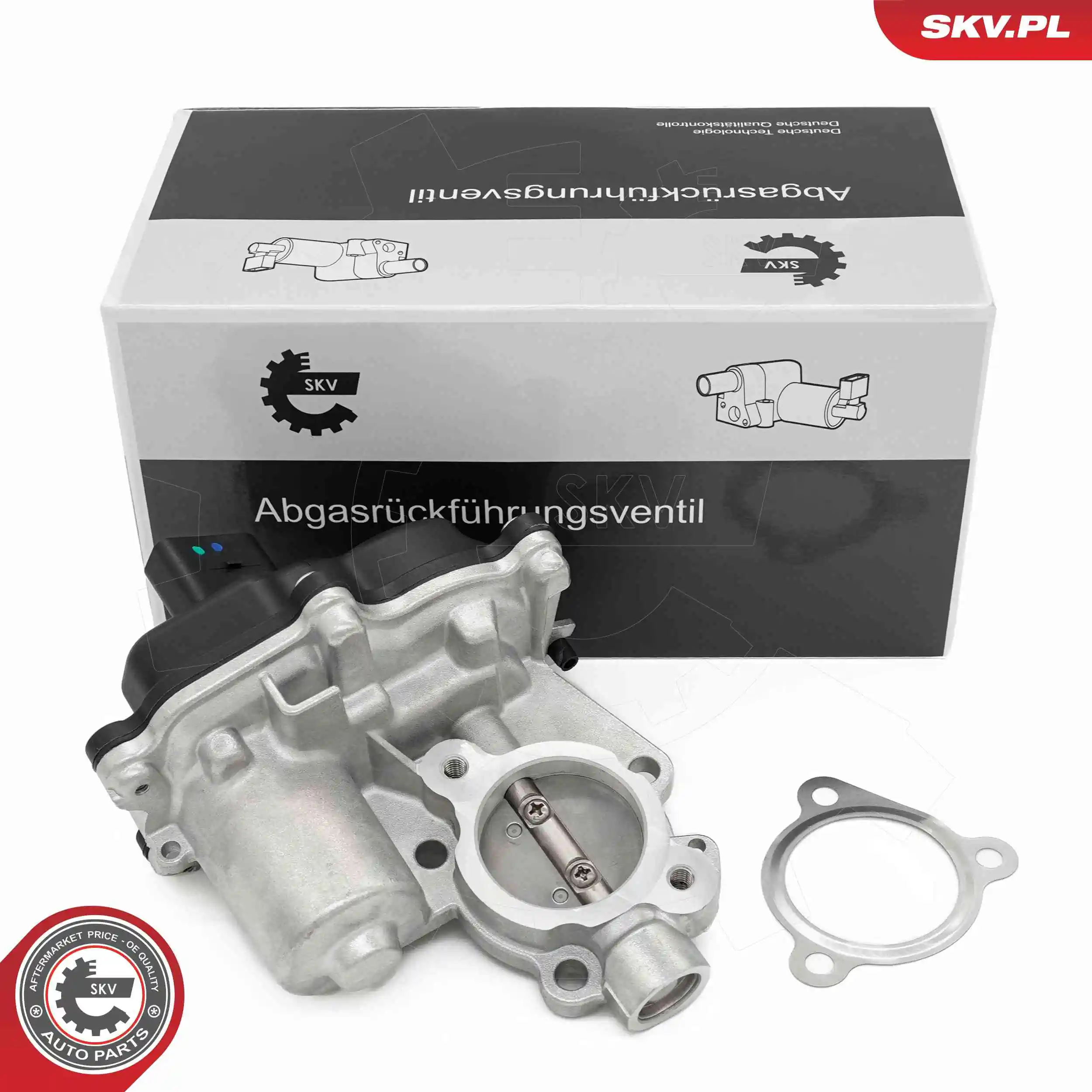 EGR Valve